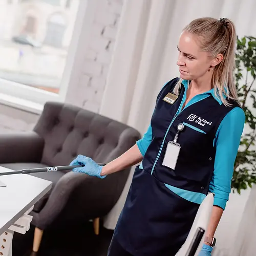 Kvaliteetse hoolduskoristuse tähtsus
